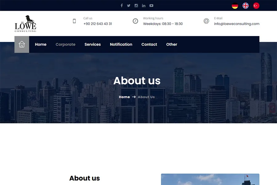 Loewe Consulting Web Site Projesi