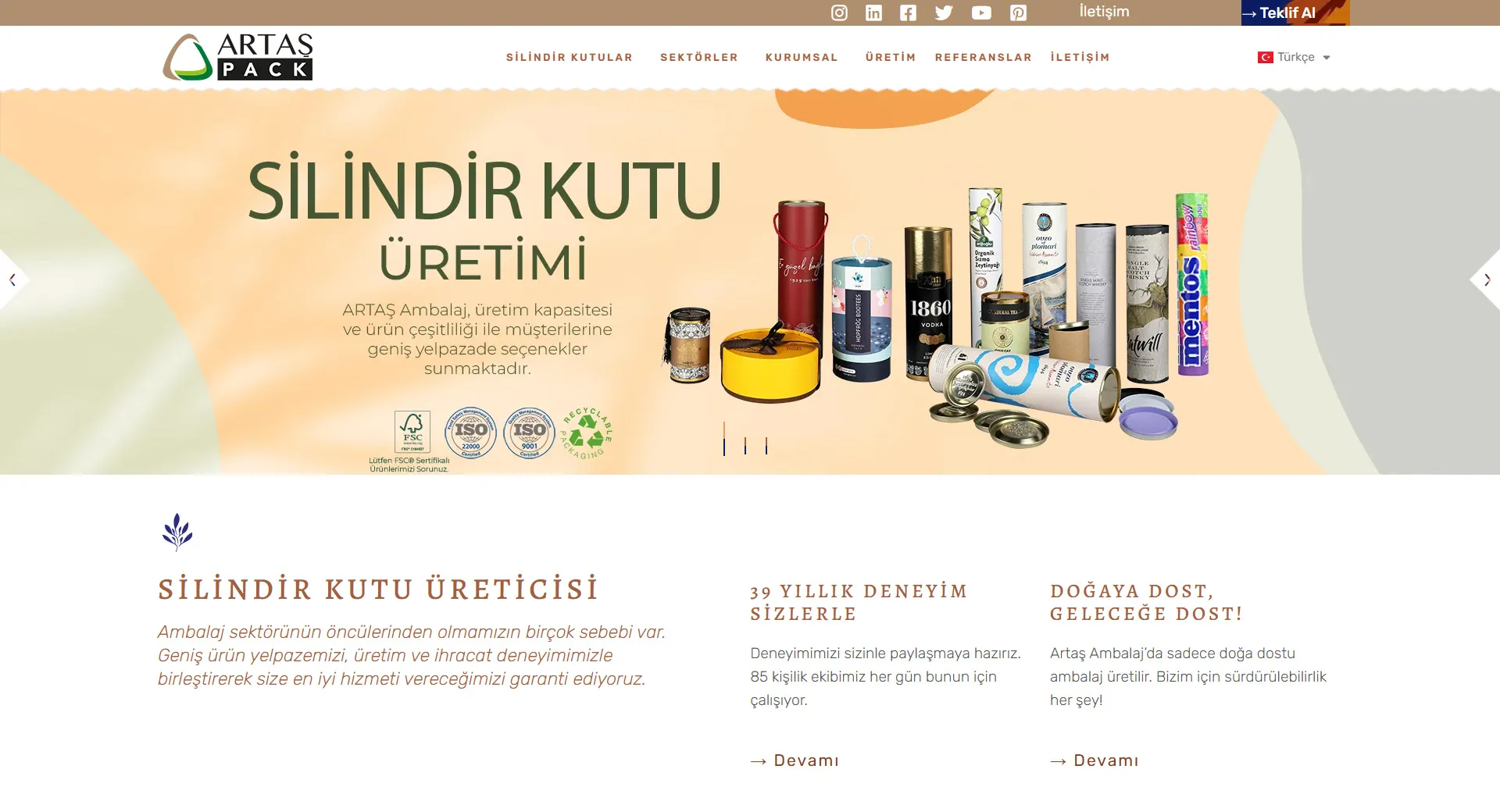 Artaş Ambalaj Web Projesi