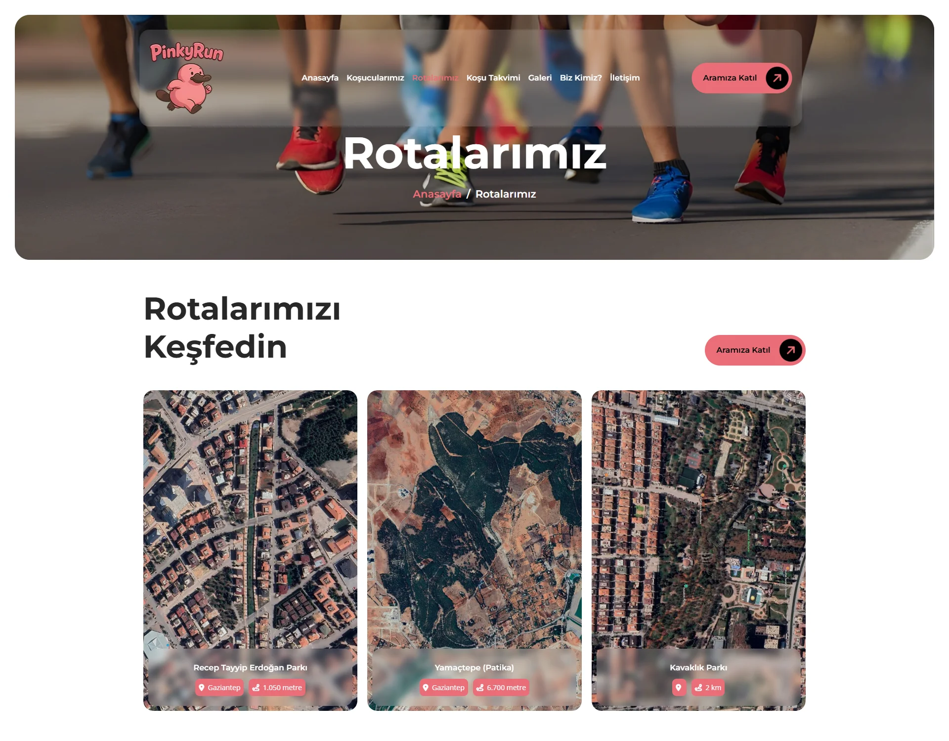 Pinkyrun Web Sitesi Projesi